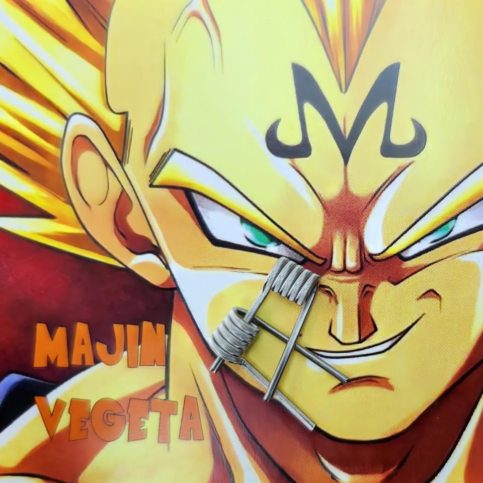 TIMON-COIL-ALIEN-MAGIN-VEGETA-015-OHM-NI80-P-2.jpg TIMON COIL ALIEN MAGIN VEGETA 0 15 OHM NI80 P-2