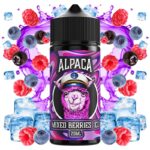 AROMA MIXED BERRIES ICE 20ML/120ML LONGFILL - ALPACA